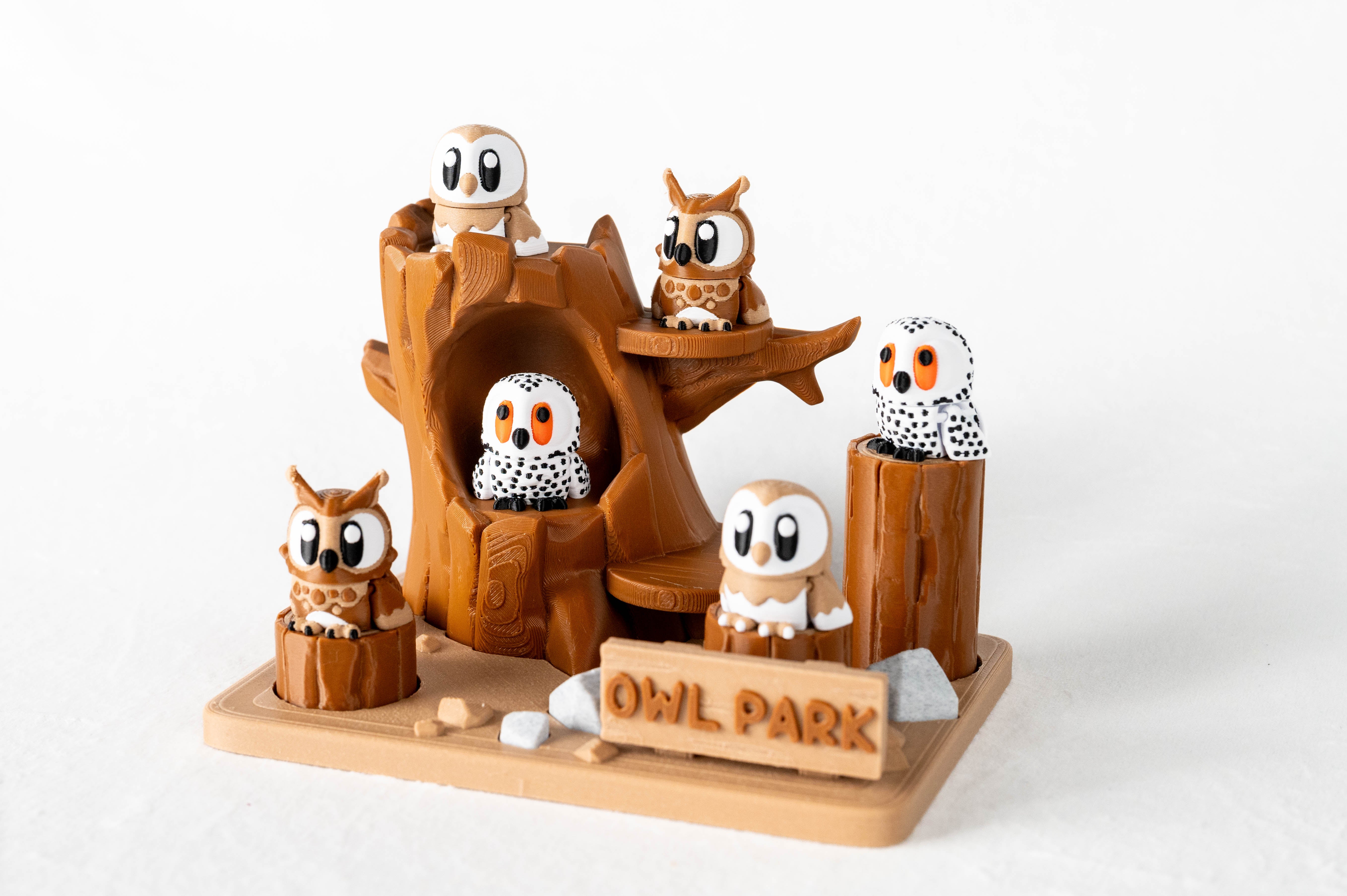 Owl Park & Owls