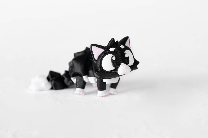Big-Eyed Cat : Black Cat House 3D Printed Animal