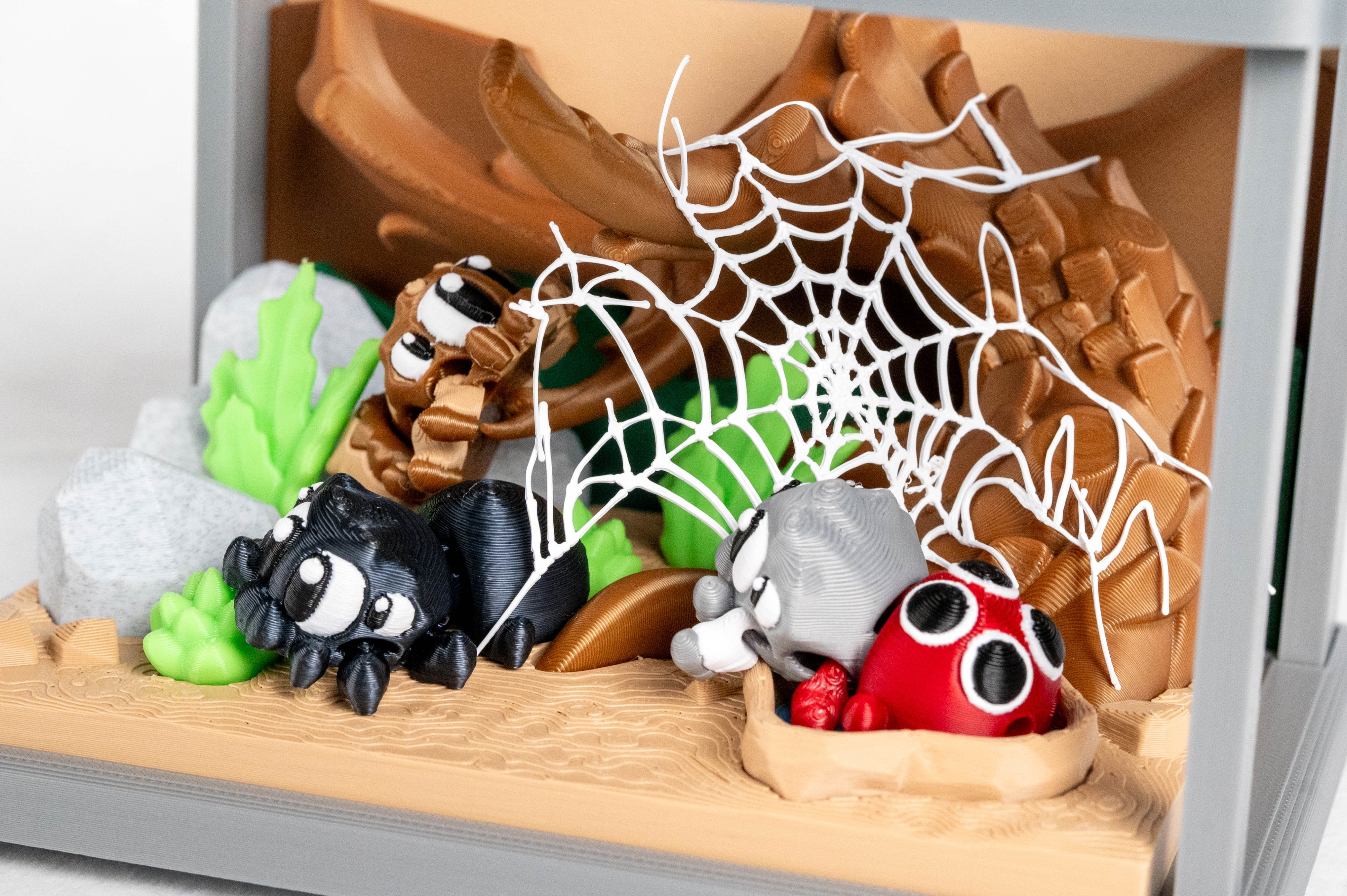 Spider Enclosure & 3 Spiders