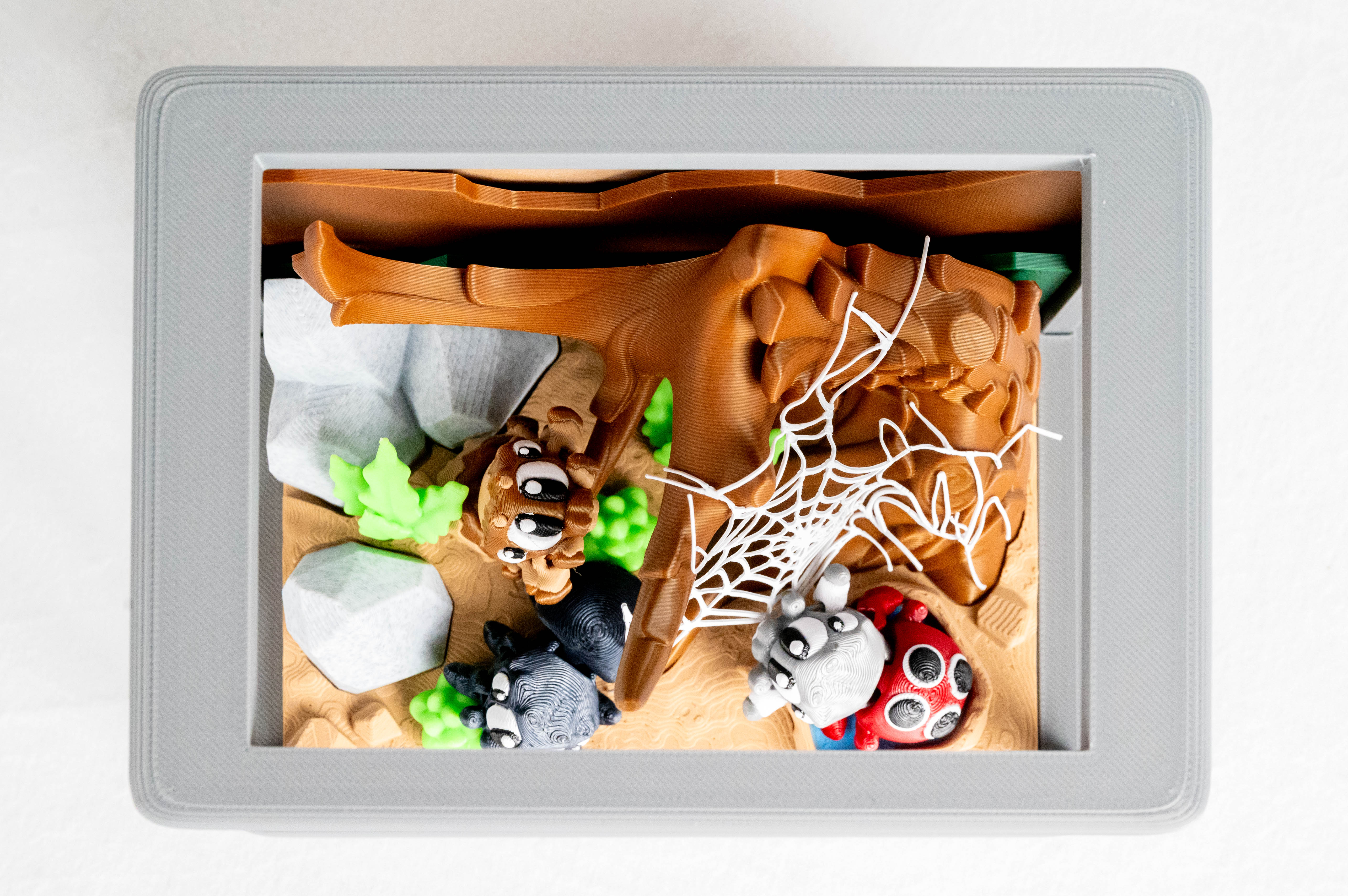 Spider Enclosure & 3 Spiders