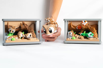 Both Sets | and Biggly Beardie