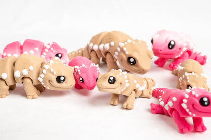 [Clearance] Baby Bearded Dragon