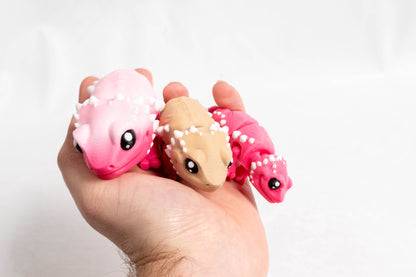 [Clearance] Baby Bearded Dragon