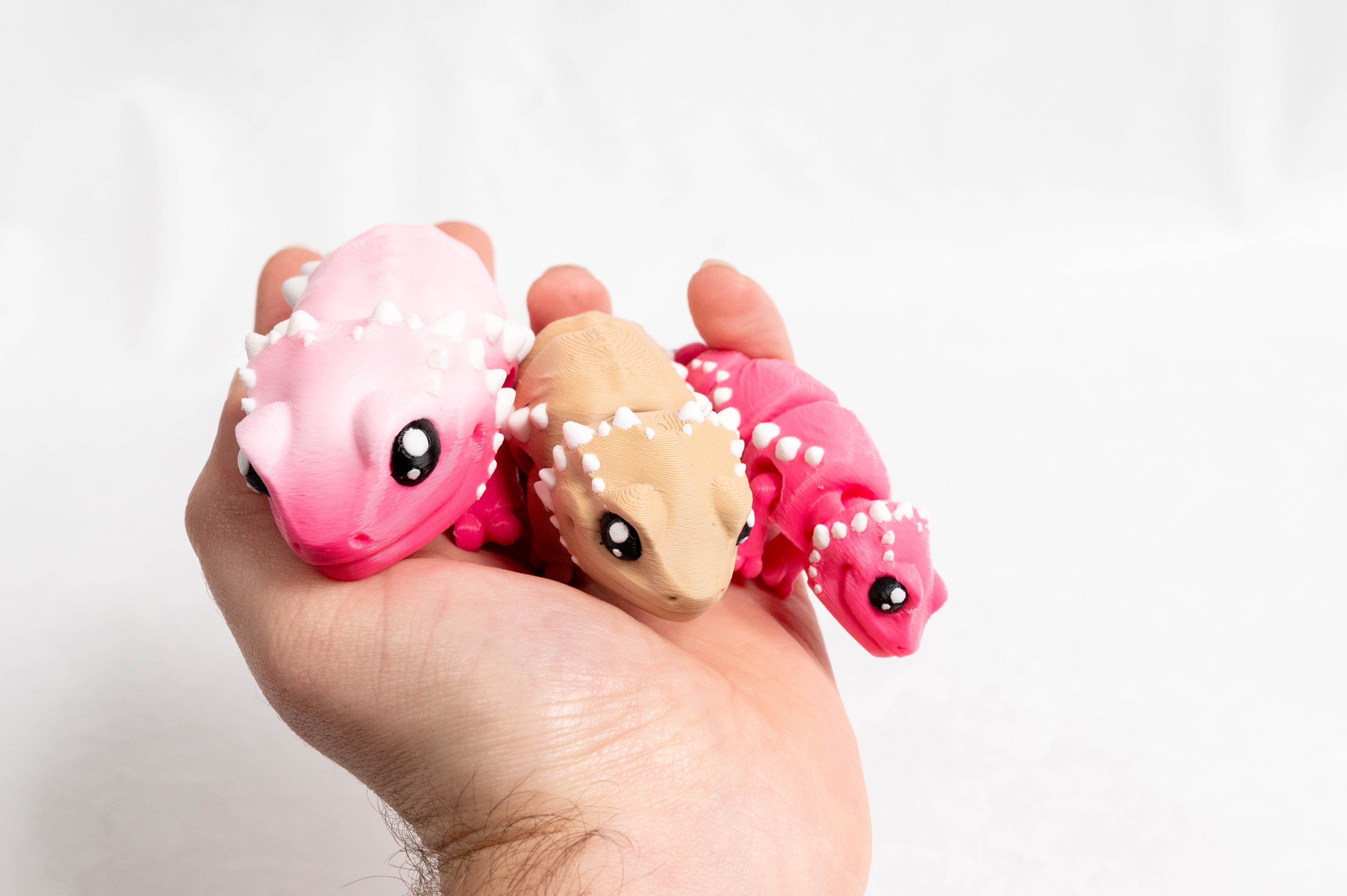 [Clearance] Baby Bearded Dragon