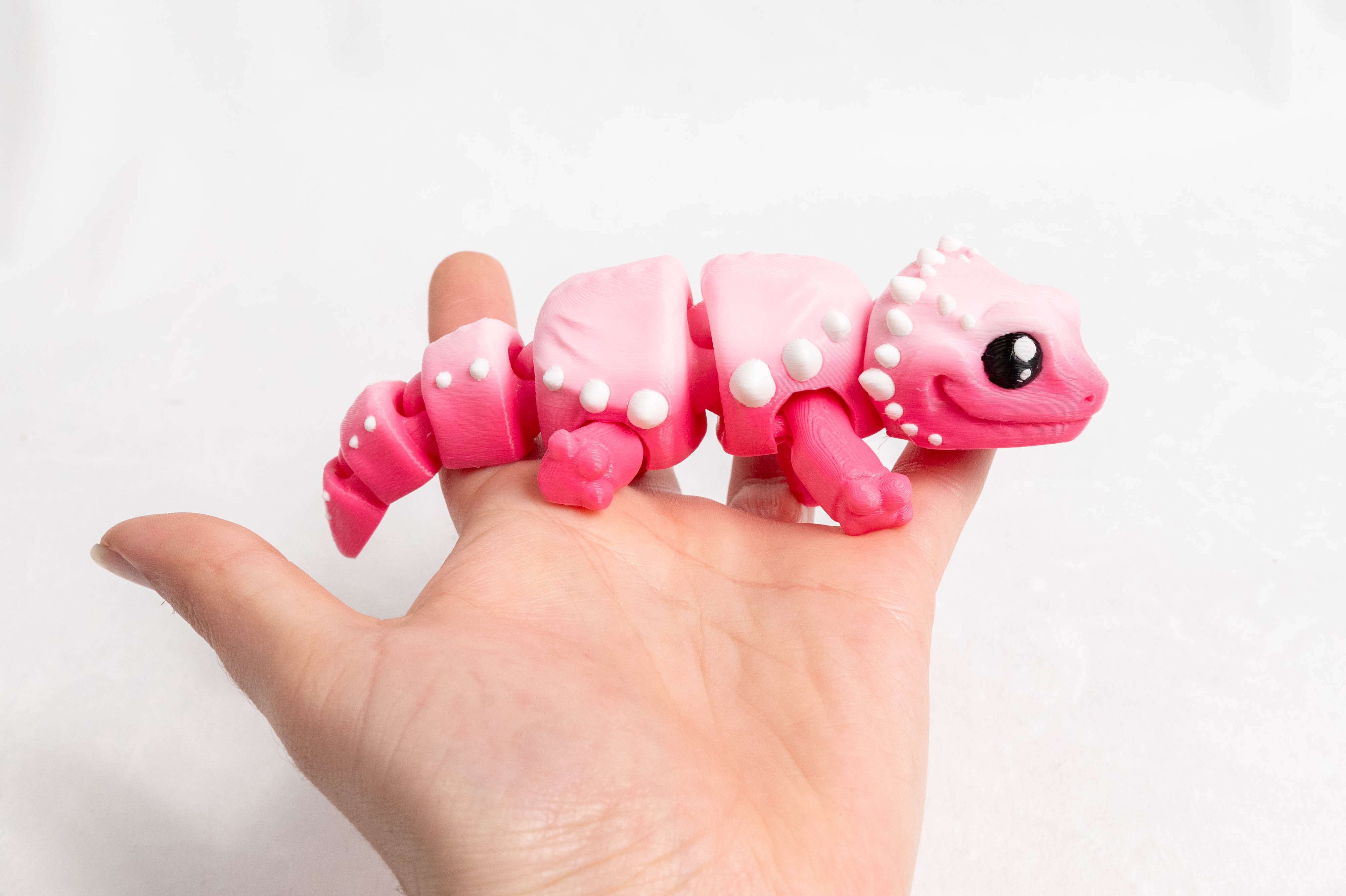 [Clearance] Baby Bearded Dragon