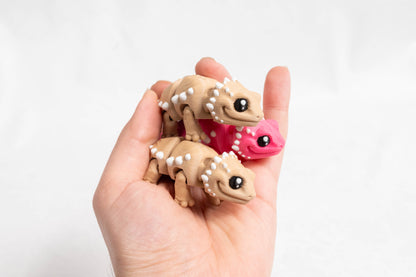 [Clearance] Baby Bearded Dragon