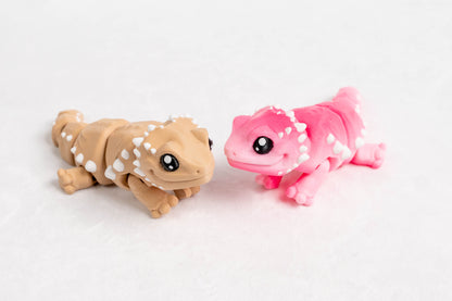 [Clearance] Baby Bearded Dragon