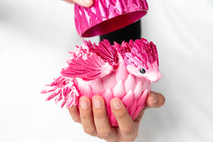 Sakura / Small baby in a dragon egg