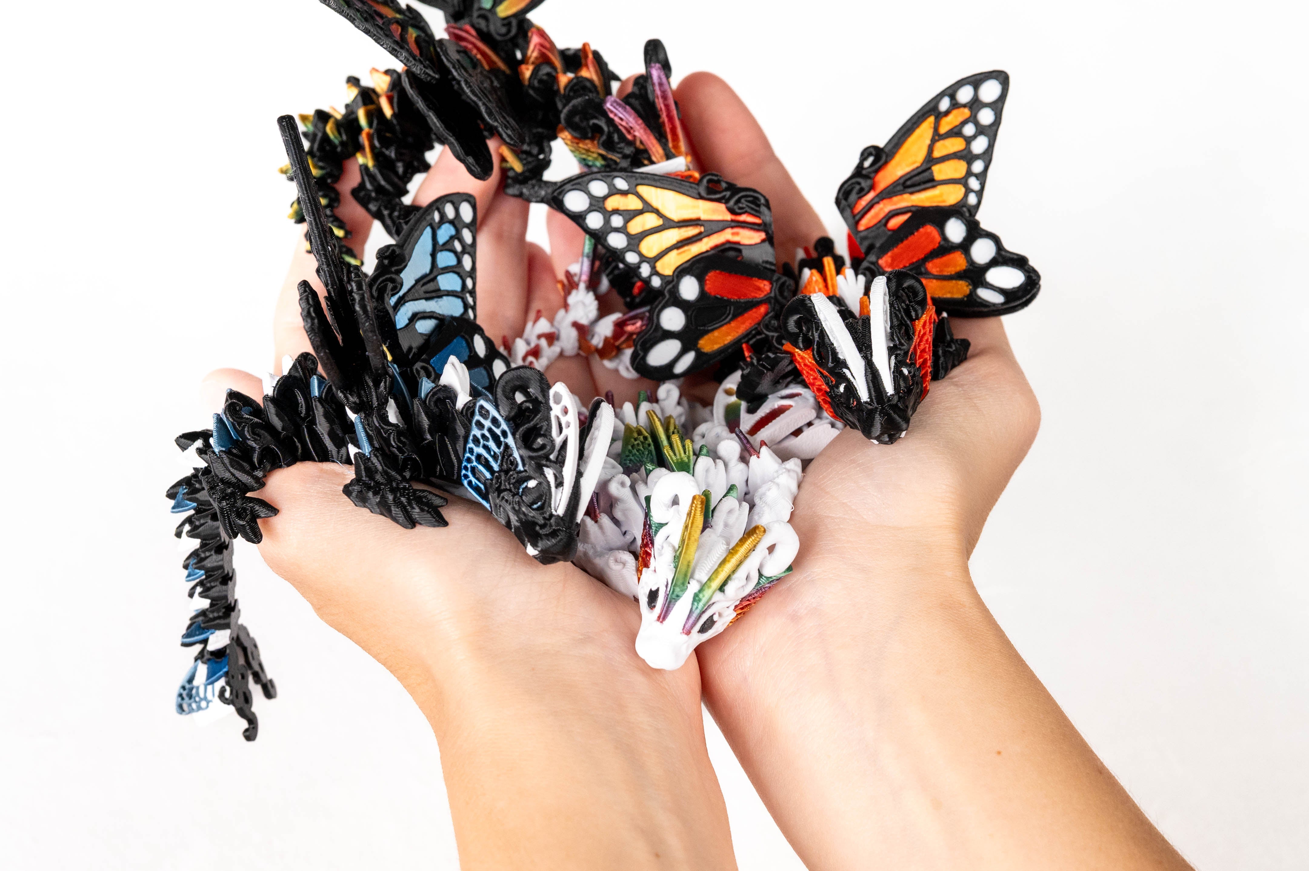 Baby Butterfly Dragon