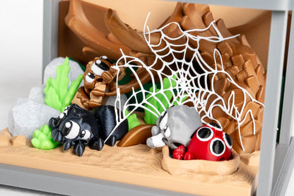 Spider Enclosure & 3 Spiders