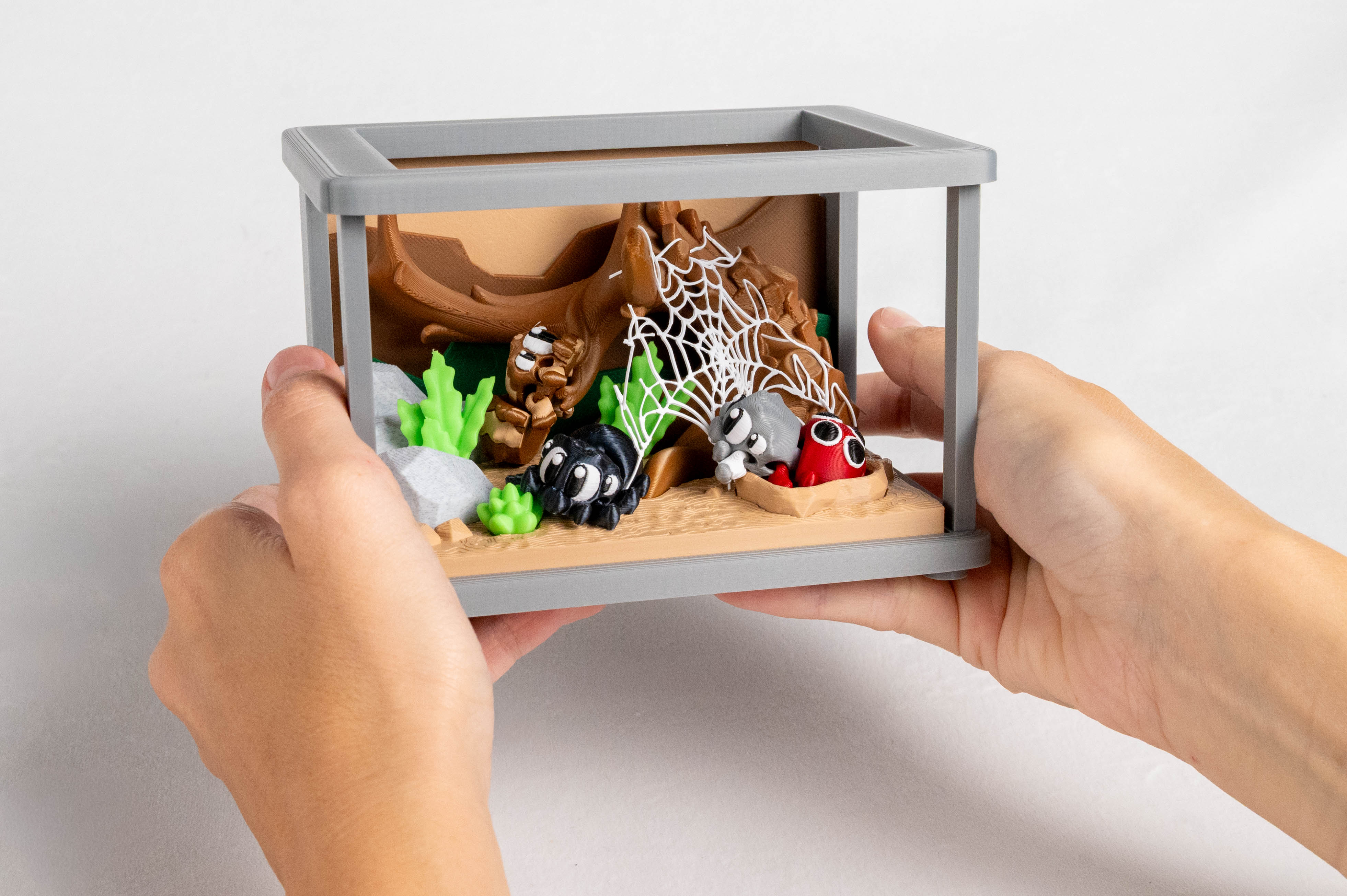 Spider Enclosure & 3 Spiders