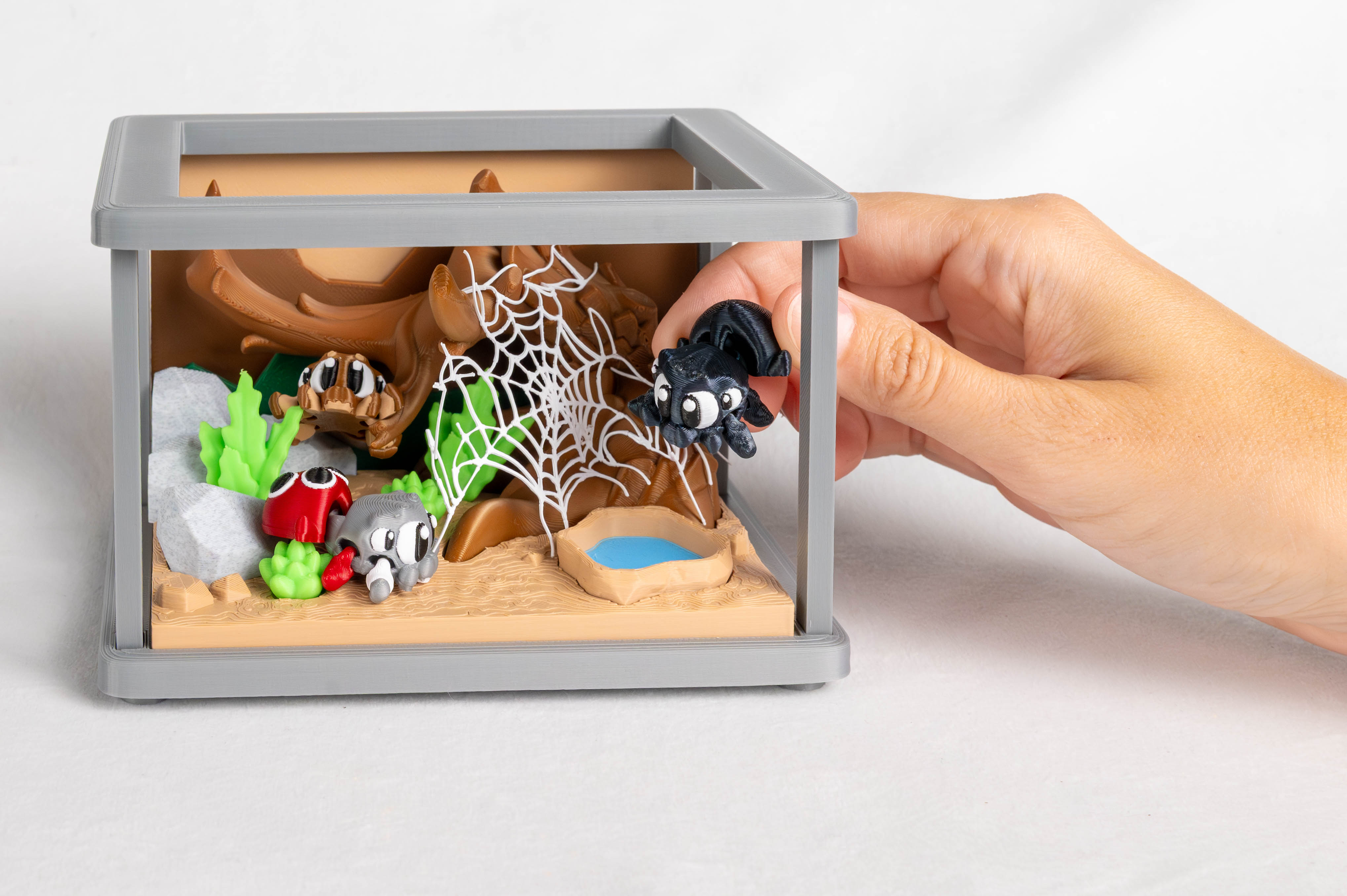 Spider Enclosure & 3 Spiders