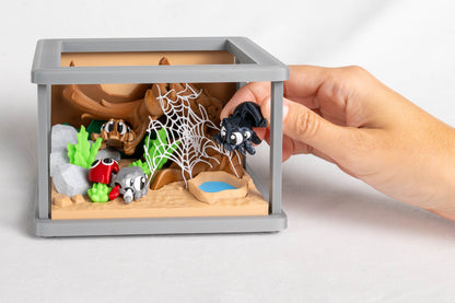 Spider Enclosure & 3 Spiders