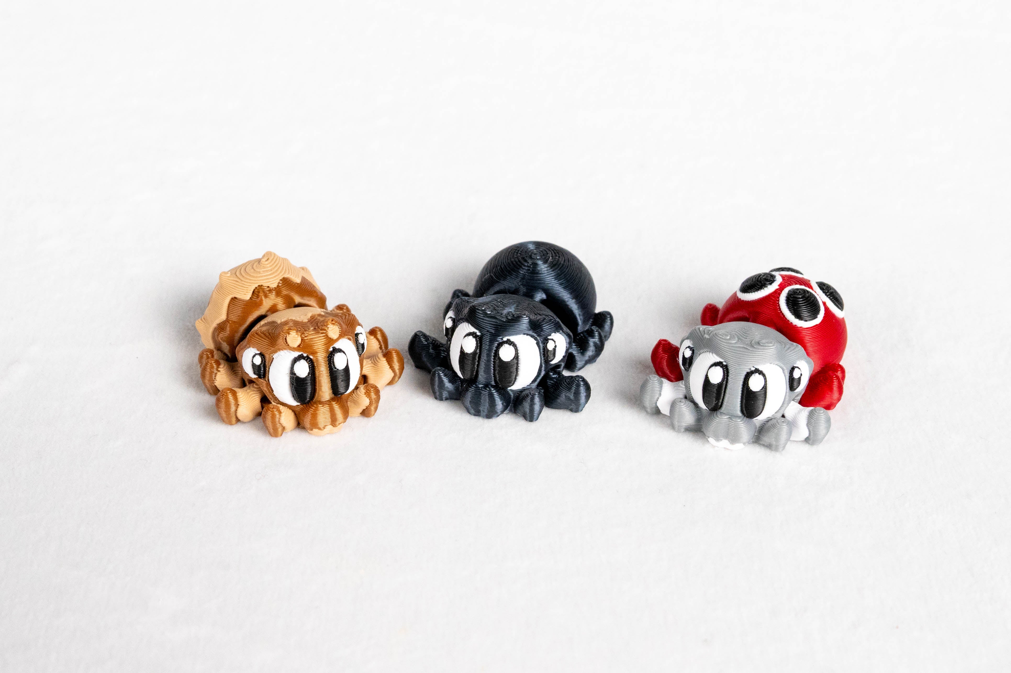 Spider Enclosure & 3 Spiders