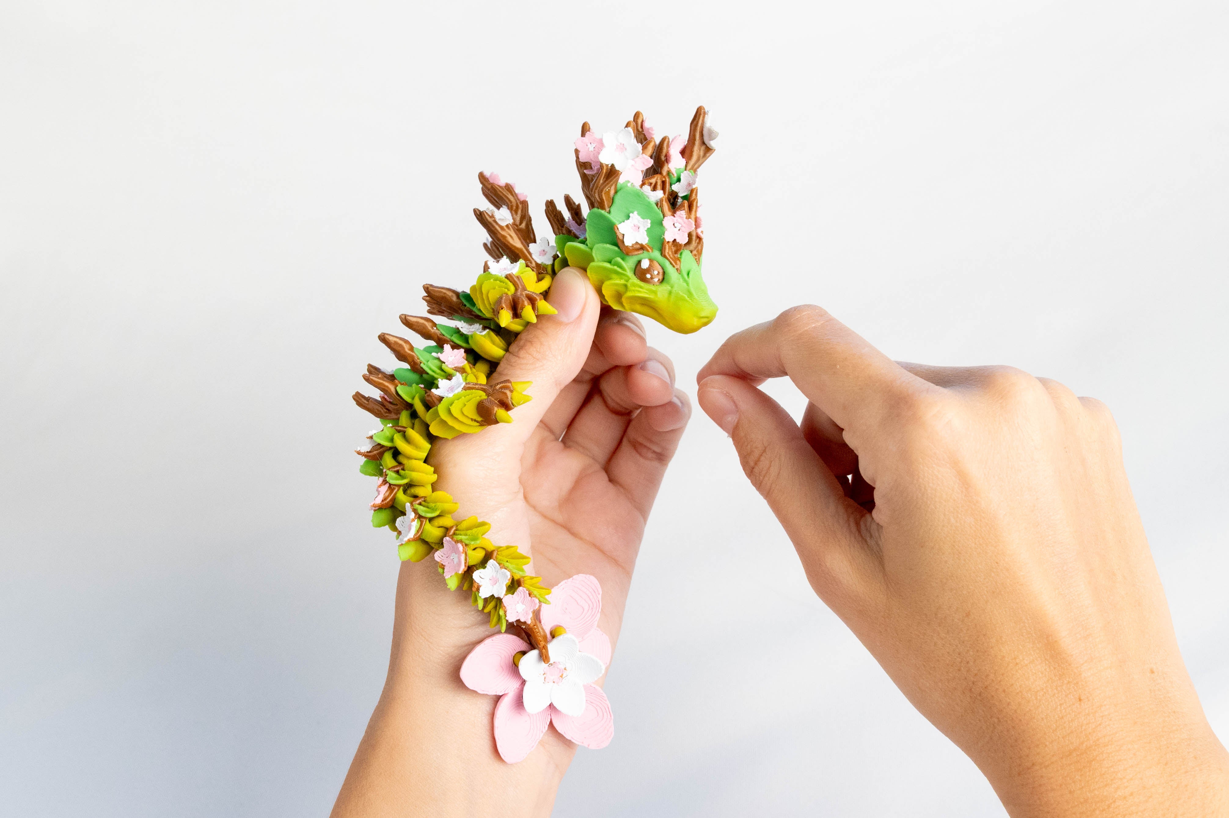 Nature Cherry | Dragon