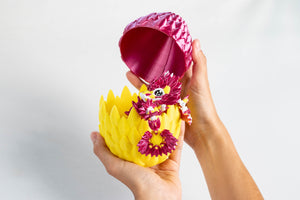 Summer / Small in a dragon egg