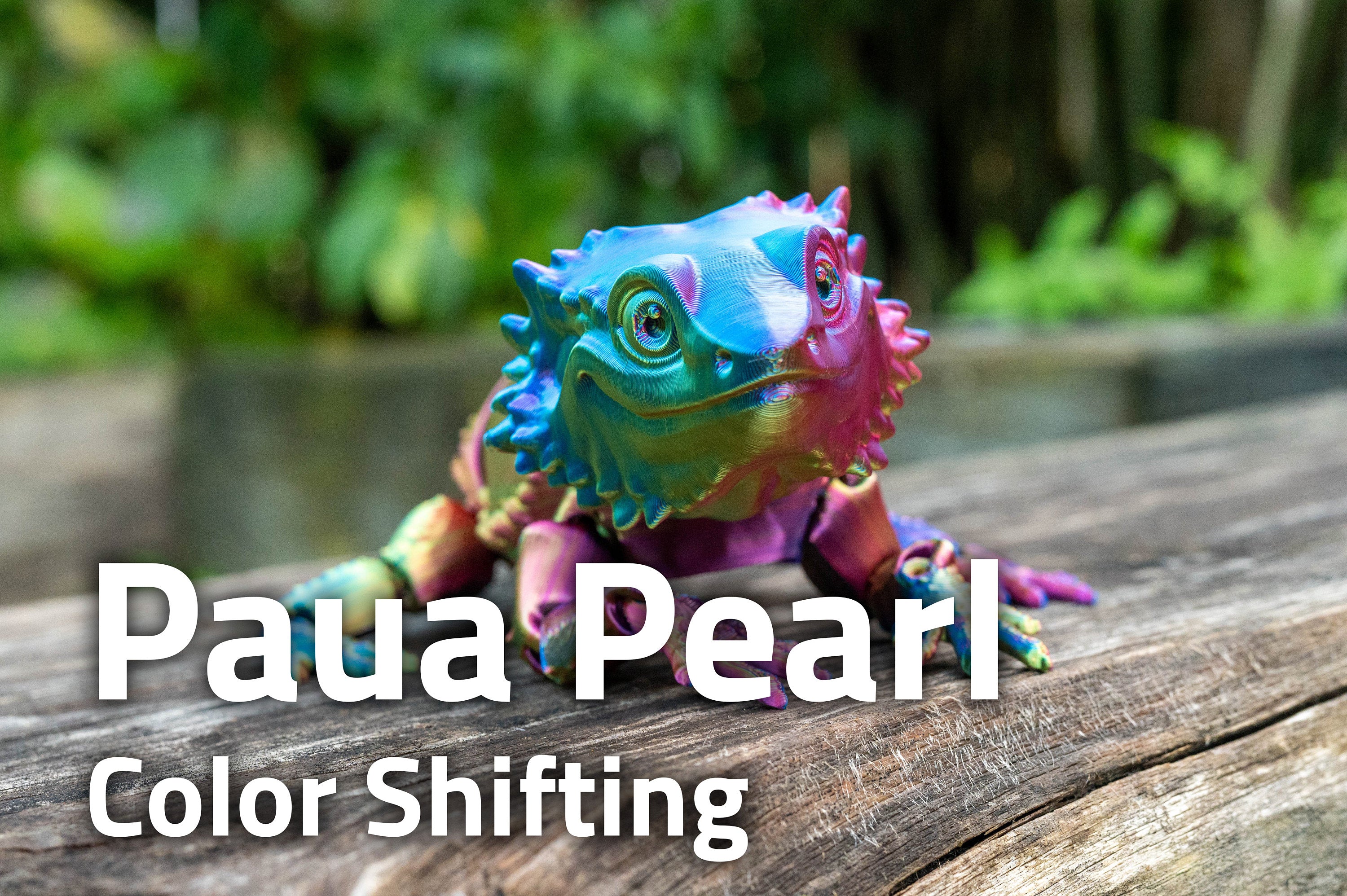 [Clearance] Bearded Dragon