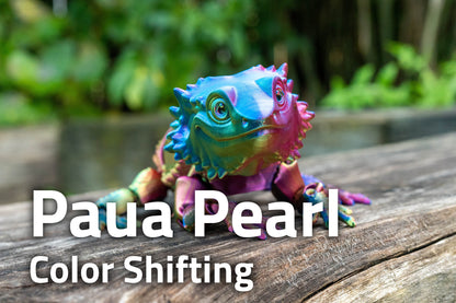 [Clearance] Bearded Dragon