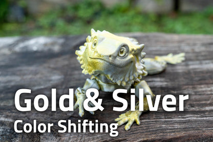 [Clearance] Bearded Dragon