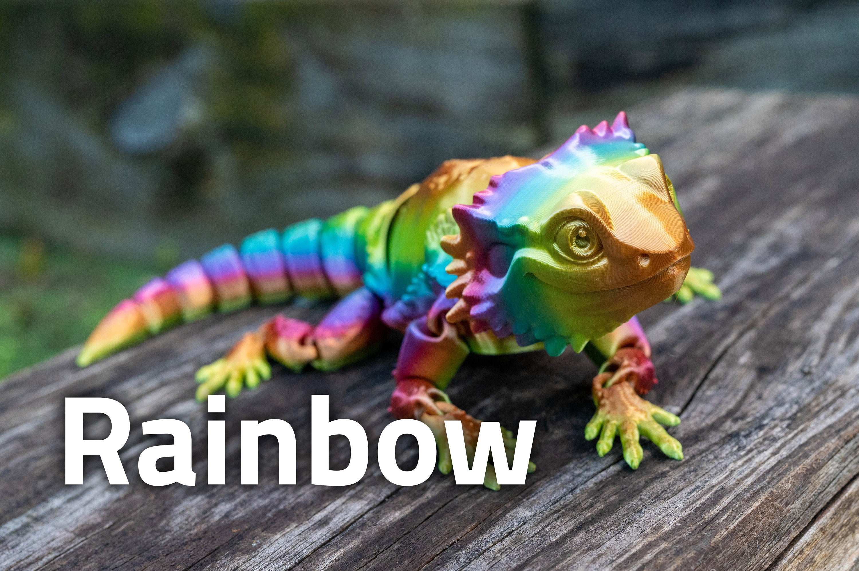 [Clearance] Bearded Dragon