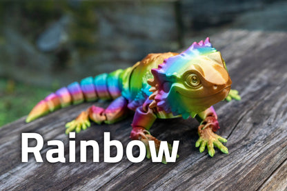 [Clearance] Bearded Dragon