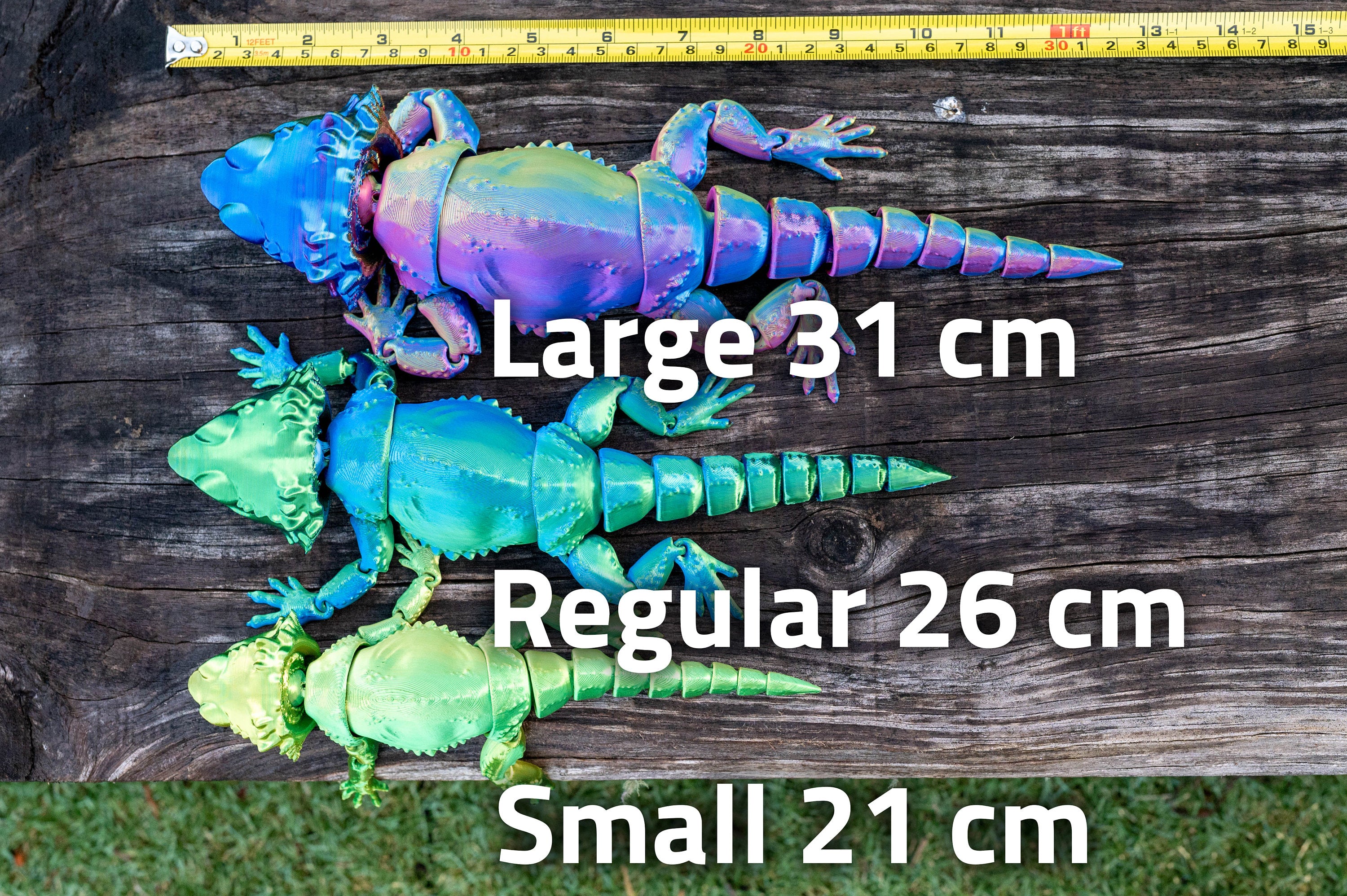 [Clearance] Bearded Dragon