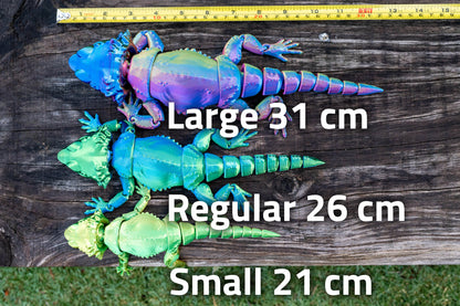 [Clearance] Bearded Dragon